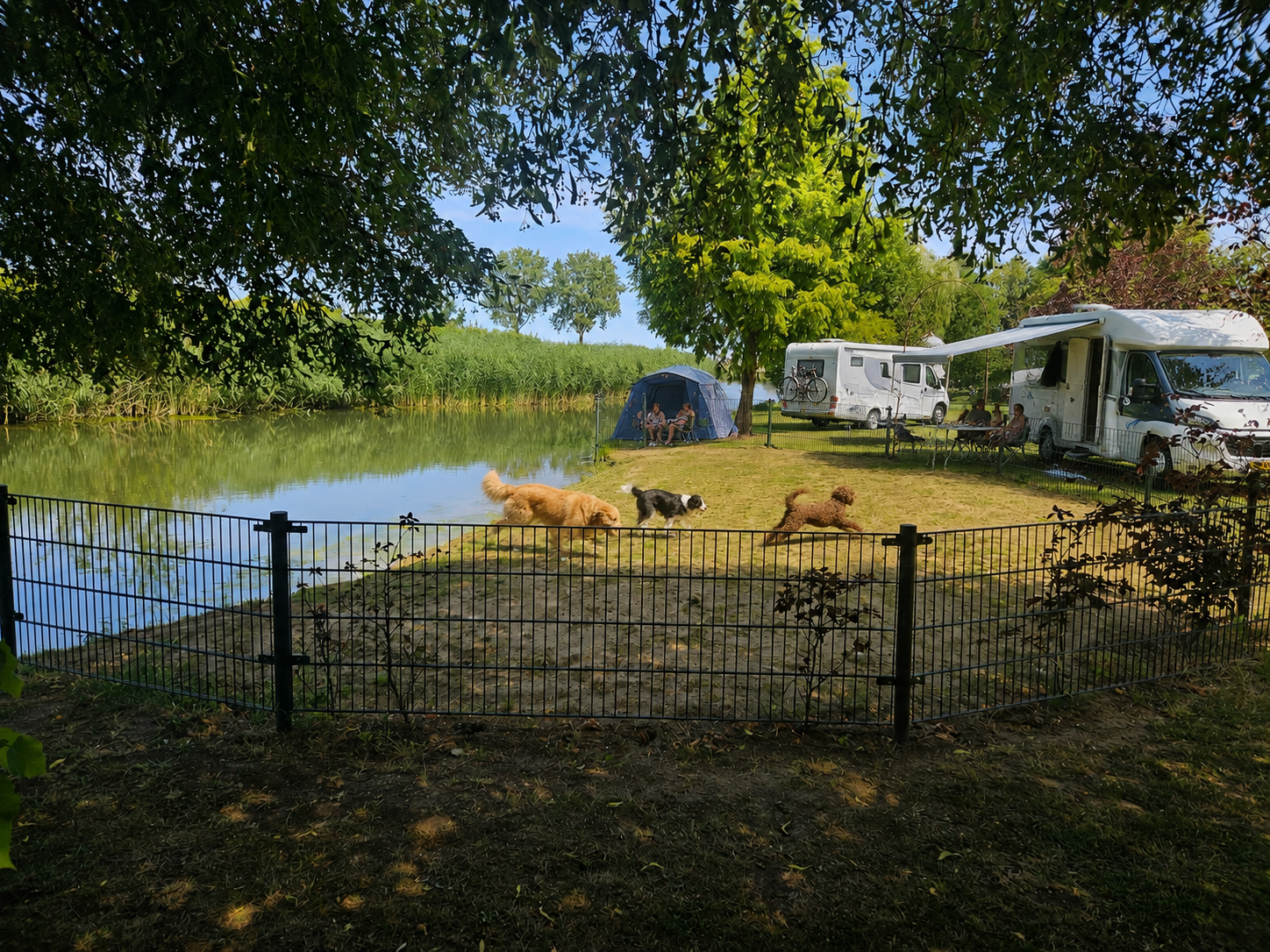 Camping sfeerfoto 2